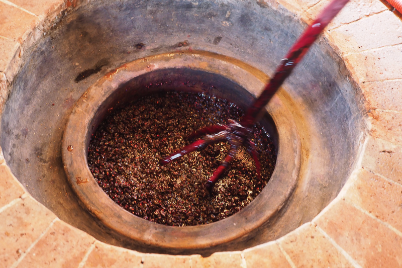 Natural Winemaking
